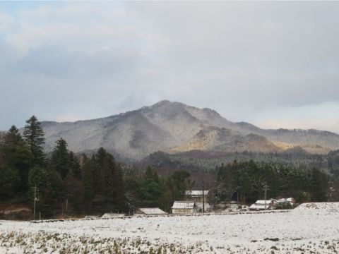 冬の女亀山