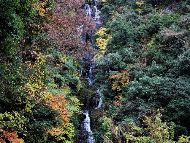 [入　選] 錦秋の常清滝 (中本　満康さん（三原市）)