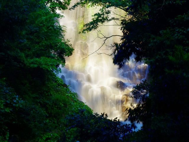 [入　選] 天国への階段 (天満　義人さん（安芸高田市）)