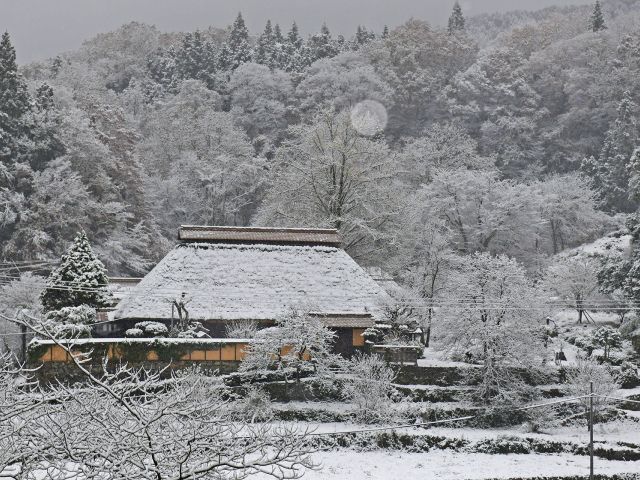 [入　選] 新雪の殿敷 (藤原　敏明さん（三原市）)