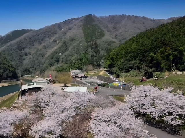 [入　選] 作木カヌー公園桜景 (菅　昭和さん（三次市）)