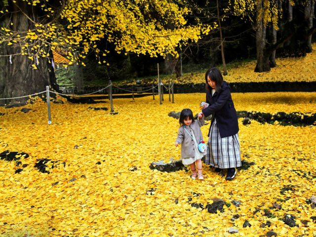 [ファミリー賞] 楽しい一日 (谷水　毅さん（竹原市）)